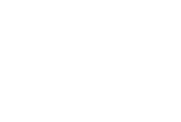 ZIEL-ART